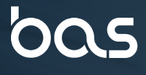 Bas consultancy